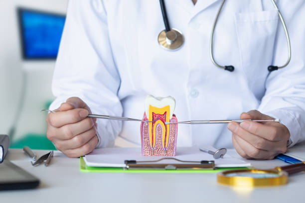 Best Emergency Gum Treatment in Gilbertsville, PA